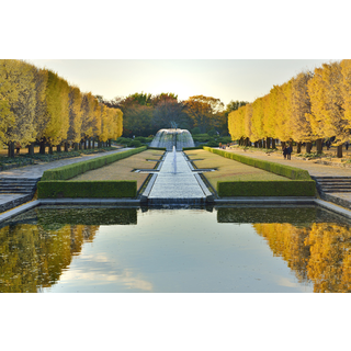 国営昭和記念公園