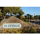 辻堂海浜公園