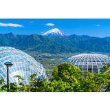 笛吹川フルーツ公園