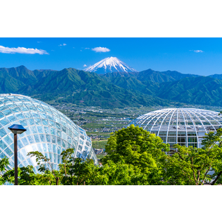 笛吹川フルーツ公園