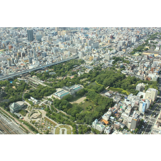 天王寺公園