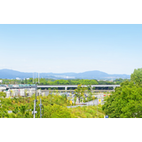 万博記念公園