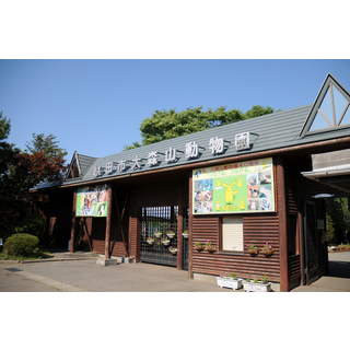 秋田市大森山動物園