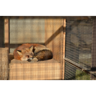 河北町児童動物園