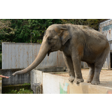 宇都宮動物園