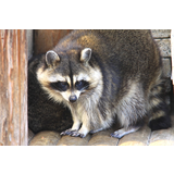桐生が岡動物園