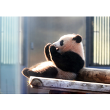 上野動物園