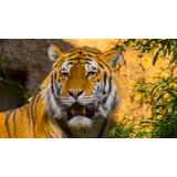 多摩動物公園