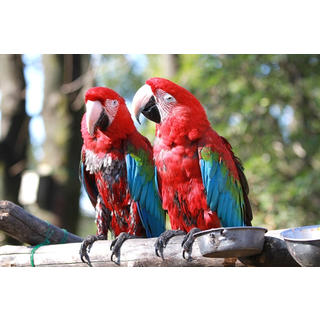 羽村市動物公園