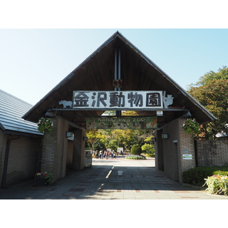 横浜市立金沢動物園
