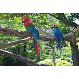 須坂市動物園