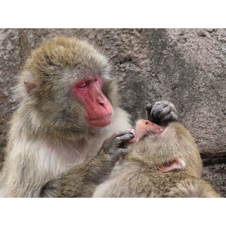 豊橋総合動植物公園（のんほいパーク）