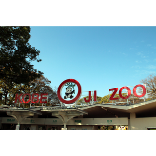 神戸市立王子動物園