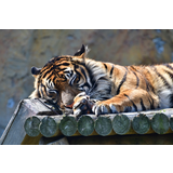 【閉園】みさき公園