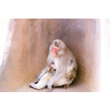 福知山市動物園