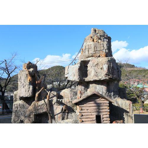 周南市徳山動物園 山口県 動物園のスポット情報 Cozre コズレ 子育てマガジン