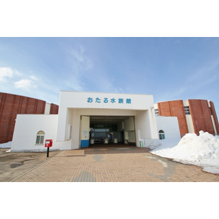 おたる水族館