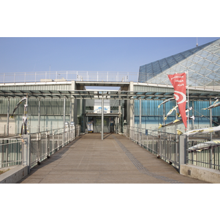 水族館  トップ