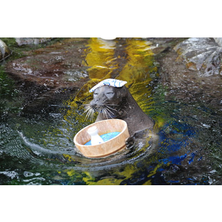 箱根園水族館