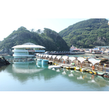 下田海中水族館