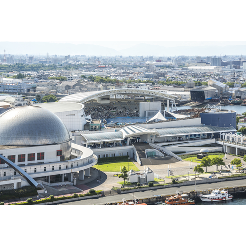 あかねこ1008さんの名古屋港水族館の感想 事前にドコモのdクーポンによるチケットを Cozre コズレ 子育てマガジン