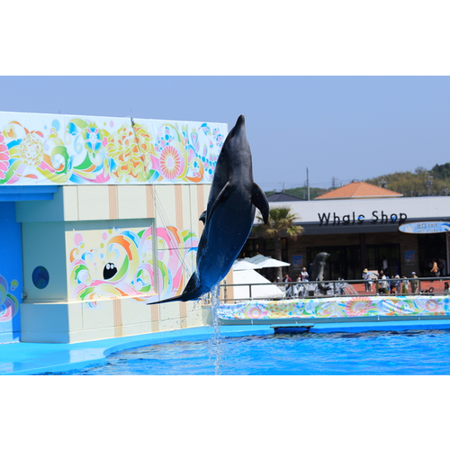 南知多ビーチランド 愛知県 水族館のスポット情報 Cozre コズレ 子育てマガジン