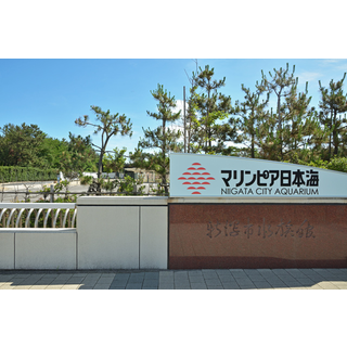 新潟市水族館マリンピア日本海