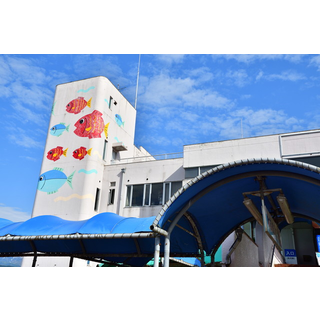 魚津水族館