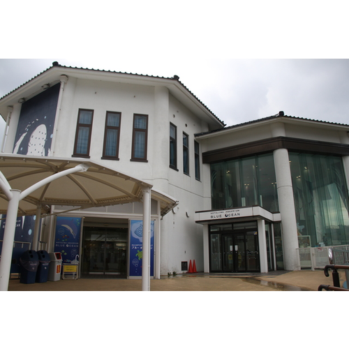 ともしめさんののとじま水族館の感想「小学校などが夏休みに入って混み始める前に…」｜Cozre[コズレ]子育てマガジン