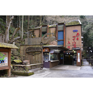 日本サンショウウオセンター