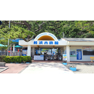 桂浜水族館