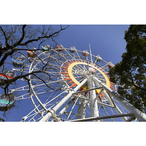 熊本市動植物園 熊本県 遊園地のスポット情報 Cozre コズレ 子育てマガジン