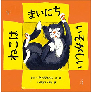 ねこはまいにちいそがしい