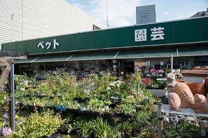 フロアガイド | 京王百貨店 新宿店