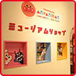 1f_photo_4