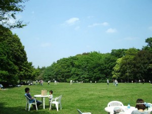 800px-Kinuta_Park_04