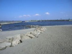 jinkoukaihin