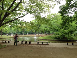 photo6