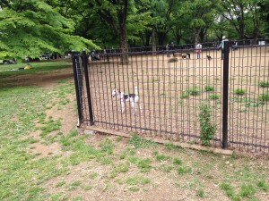 photo8