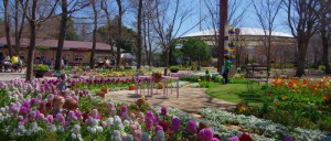 ふなばしアンデルセン公園