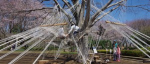 ふなばしアンデルセン公園のジム