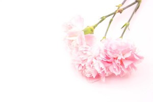 母の日７
