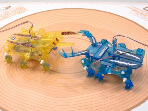 子どもが喜ぶ秋葉原ツクモロボット王国のロボットバトル