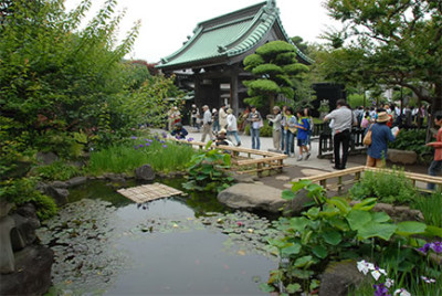 鎌倉の長谷寺