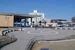 kurage