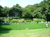 p_houkoku_18