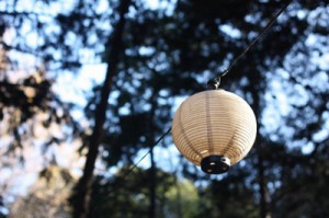 世田谷の夏祭り会場のぼんぼりの画像