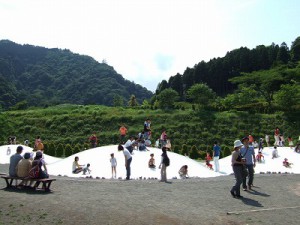 あいかわ公園のふわふわドームの画像