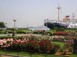 h250514007