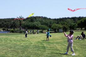 辻堂海浜公園のプールのほかにも芝生広場で楽しめる画像
